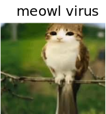 Meowlvirus creature, a feline-avian hybrid