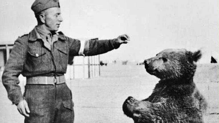 Polish soldier with Wojtek the bear